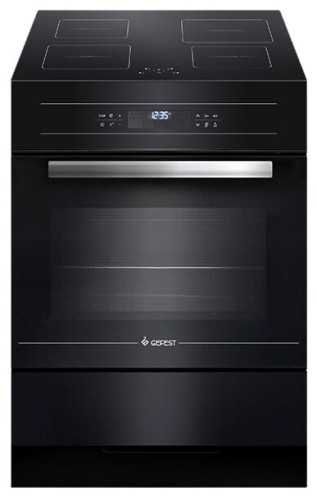Индукционная плита Gefest 6570-04 0057