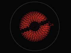 Электрическая варочная панель Electrolux LHR3233CK