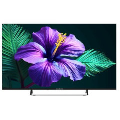 Телевизор Topdevice TDTV55CS05U_BK