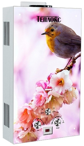 Газовый проточный водонагреватель Теплокс ГПВС-10 ГПВС-10-ПТ1