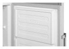 Морозильная камера Beko RFSK215T01S