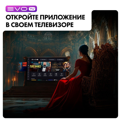 Телевизор EVO tv 32 Black