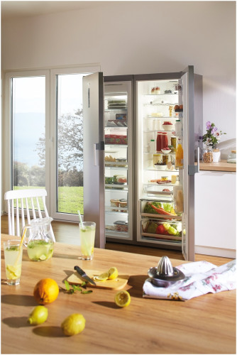 Холодильник Gorenje R 6192 LX