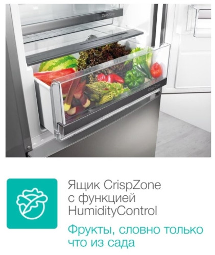 Холодильник Gorenje R 6192 LX