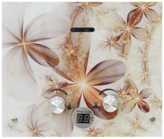 Газовый проточный водонагреватель Oasis ECO B-24