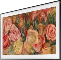 Телевизор Samsung QE55LS03DAUXRU