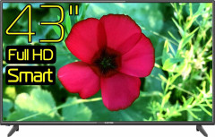 Телевизор Hartens HTS-43FHD03B-S2