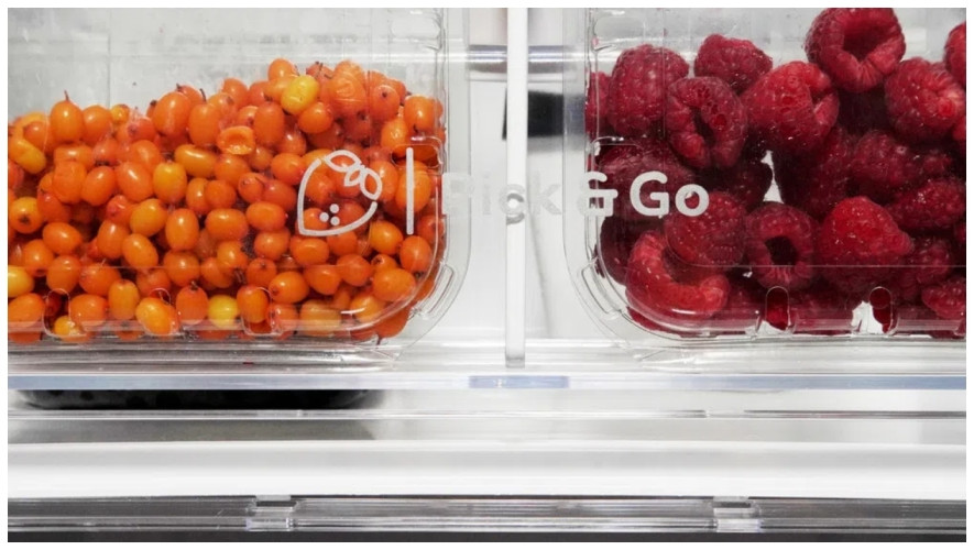 Морозильная камера Indesit DFZ 5175 S