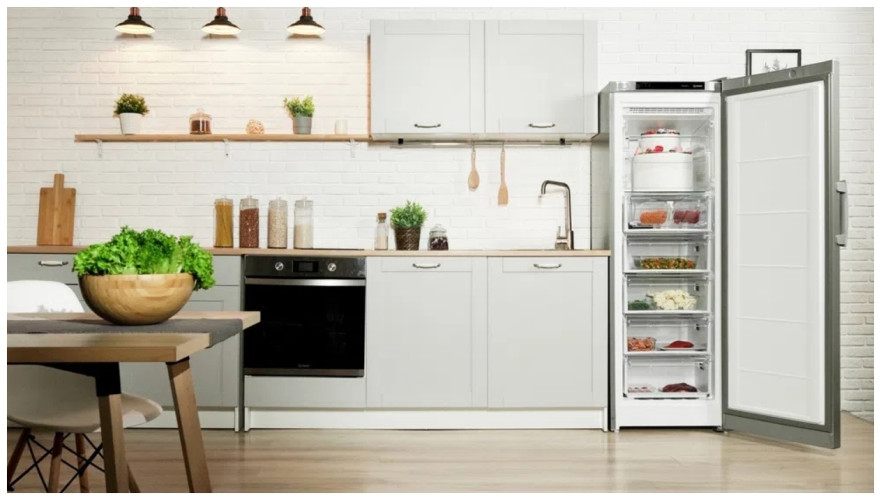 Морозильная камера Indesit DFZ 5175 S