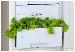 Холодильник Pozis RK-149 рубиновый