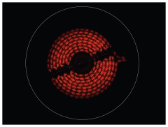 Электрическая варочная панель Electrolux EHF 96241 FK