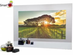 Телевизор Avel AVS245SMFM