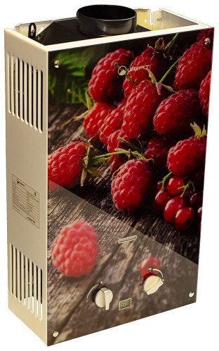 Газовый проточный водонагреватель Wert 10EG BERRY