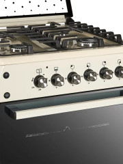 Комбинированная плита Ideal L280 ГК молочный