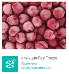 Встраиваемая морозильная камера Gorenje FIU 6092