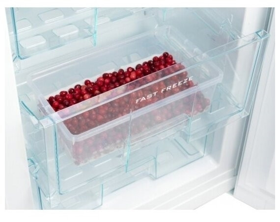 Холодильник Snaige RF35SM S0002F0