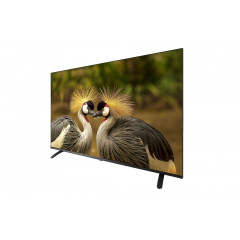 Телевизор Schaub Lorenz SLT43SU7500