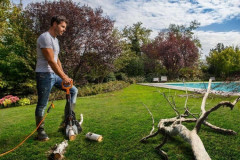 Электрическая цепная пила Worx WG307E